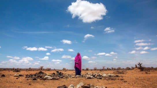 Desertification and Climate Change: What’s the Link?