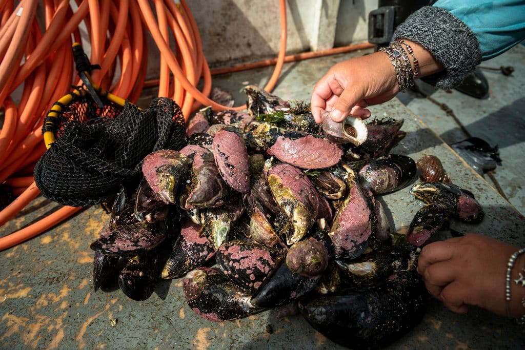 Carmen works with her husband to harvest fish and shellfish from the ocean seabed.