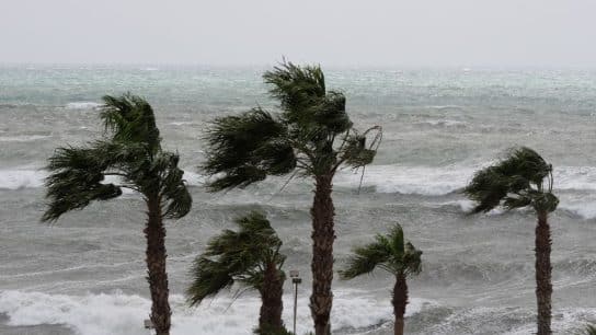 How Climate Change’s Influence on Wind Patterns Is Affecting the Wind Power Industry