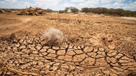 ‘Urgent and Escalating’: Climate Change Brought Unprecedented Challenges to Africa in 2024, Report Finds
