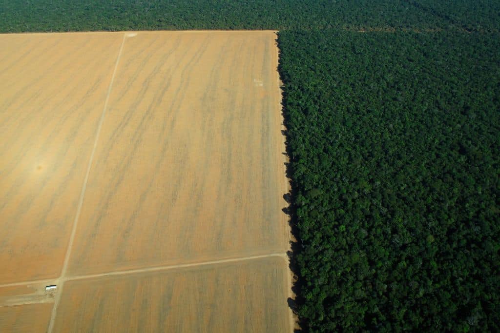 Deforestation in the Amazon Rainforest.