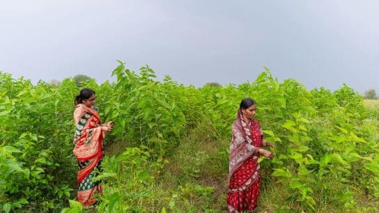 Want to Make Regenerative Farming Mainstream? Cut the Middleman