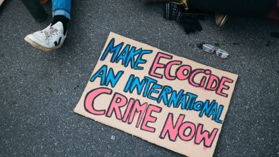 Explainer: What Is Ecocide and How Is It Treated in International and Domestic Law?