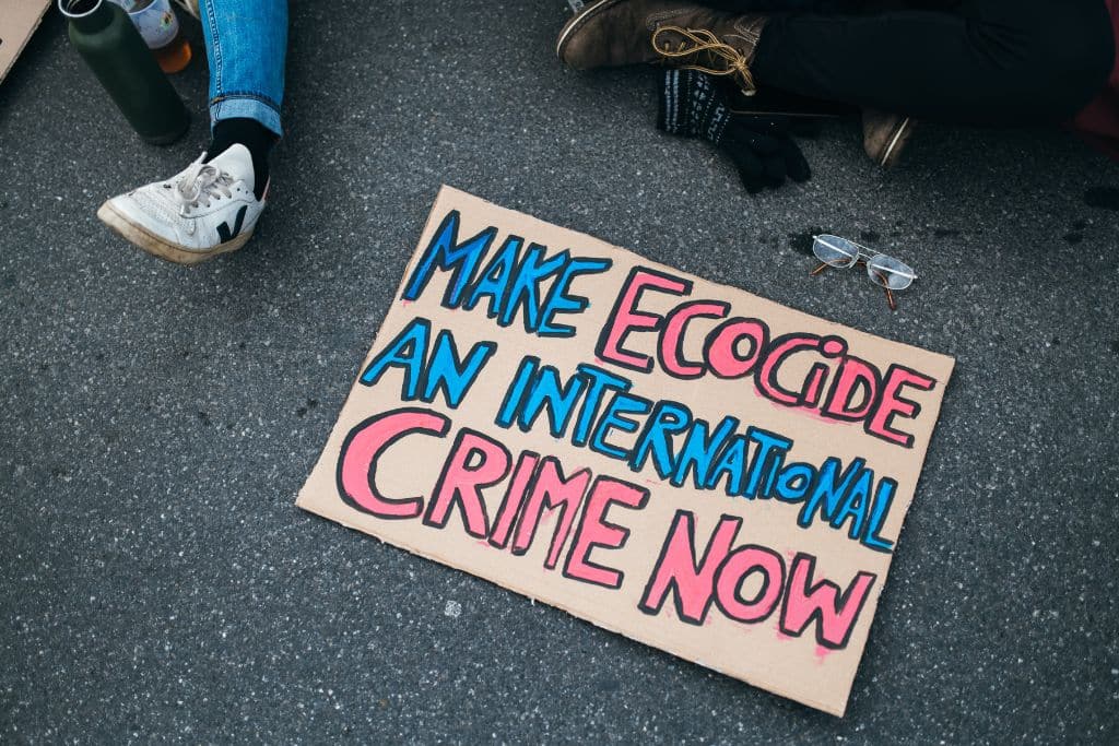 Explainer: What Is Ecocide and How Is It Treated in International and Domestic Law?