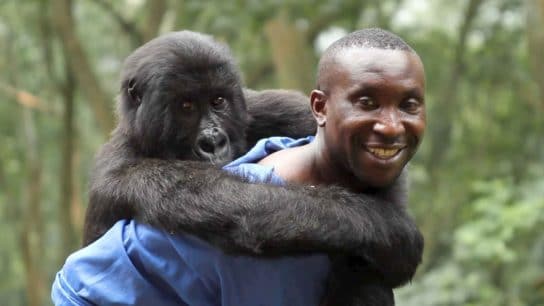 11 Environmental Films on Netflix to Watch This Year