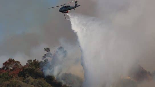 Are Extreme Droughts Fuelling America’s Wildfires? Here’s What the Data Says