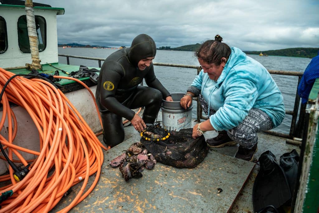 Carmen Díaz Vargas and her husband, Jaime Subiabre, check a net full of sea urchins, mussels, and fish they collected from the seabed.