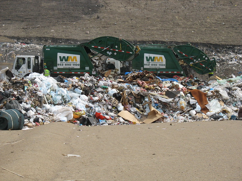 20 Companies Produce More Than Half of Global Plastic Waste, Report Reveals