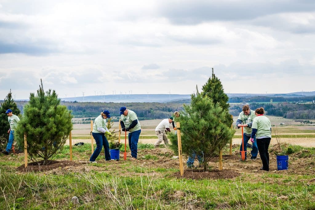 Volunteers using dibble bars planting trees during the first year of reforestation at the Flight 93 National Memorial, Somerset County, Pennsylvania.