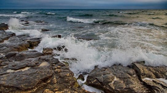 Why I am Suing the Kazakh Government to Save the Caspian Sea