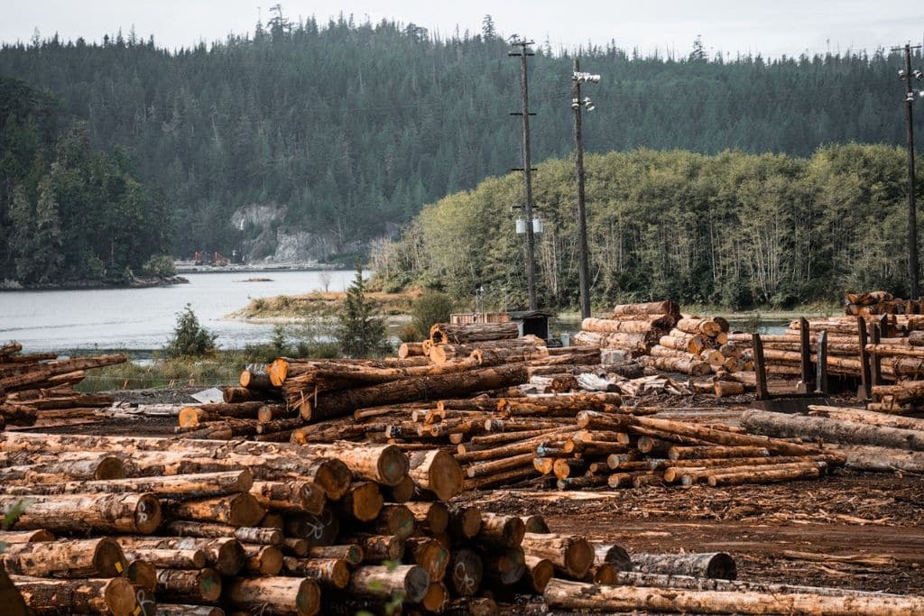 Logging industry on Vancouver Island, Canada.