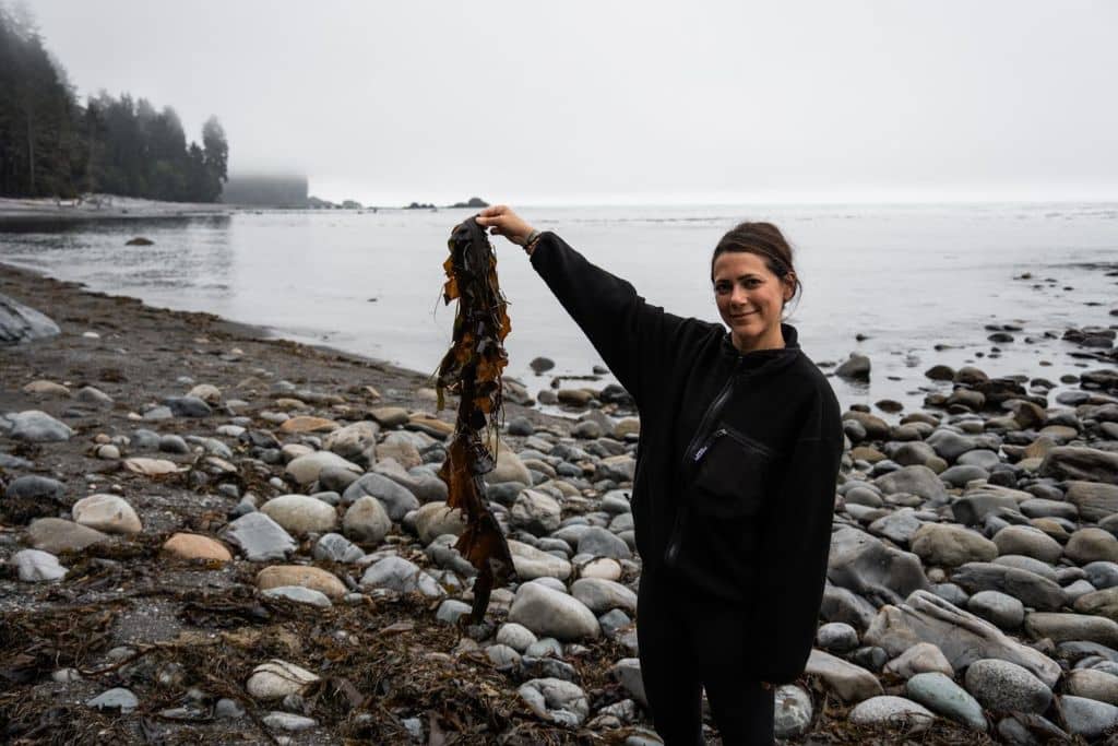 Finding treasures along shorelines.