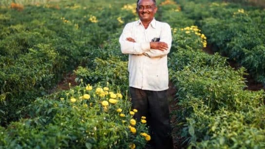 A Forgotten Farming Technique Is Making a Big Comeback – Here’s Why