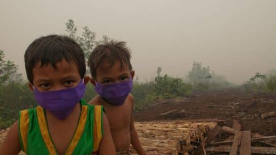 All But 7 Countries Faced Unsafe Air Pollution Levels in 2024: Report