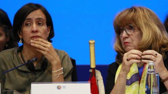 As COP16 Talks Resume, Governments Must Step Up Biodiversity Finance 