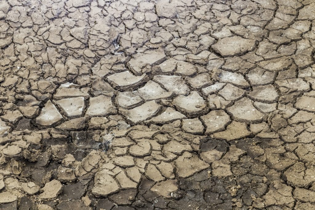Running Dry: Kazakhstan’s Water Crisis, Explained With Data