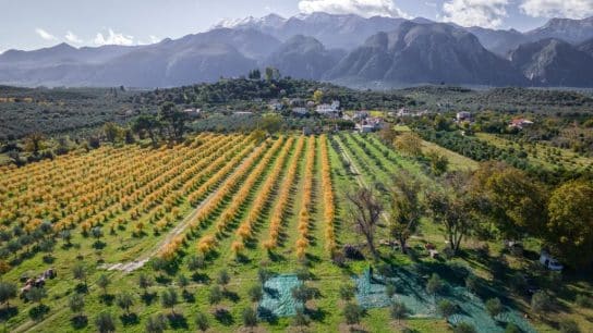 Regenerative Agriculture Goes Mainstream