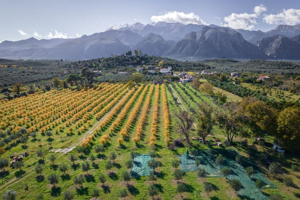 Regenerative Agriculture Goes Mainstream