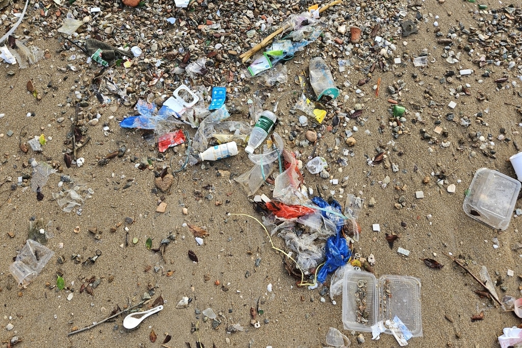 Plastic waste on a beach on Lamma Island, Hong Kong, in July 2025.