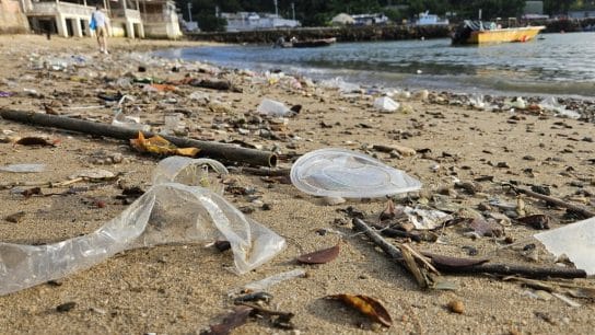 The Challenges of Setting Hong Kong Free From Single-Use Plastics 