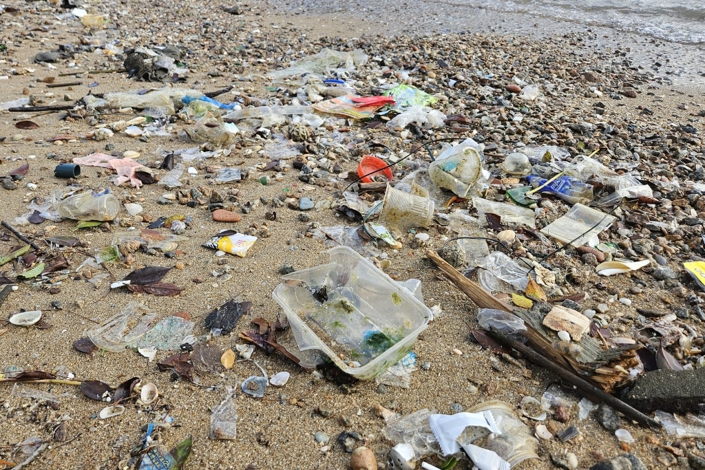 Plastic waste on a beach on Lamma Island, Hong Kong, in July 2025.