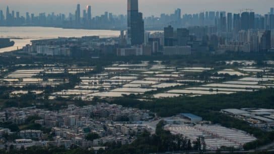 Integrate Nature-Based Solutions For A Climate-Resilient Hong Kong, Urges New Report