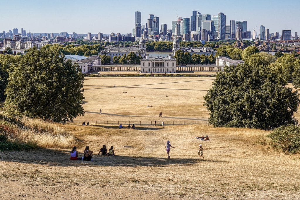 Scorched grass in Greenwich Park, London, England, during a heatwave in August 2022.