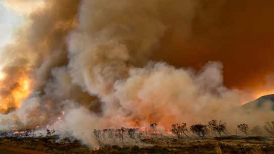 Top 6 Environmental Issues the US Is Facing