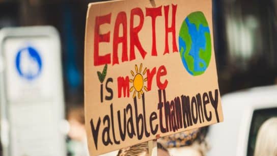 Climate Litigation No Longer a ‘Niche Concern’, 226 New Cases Filed in 2024: Report
