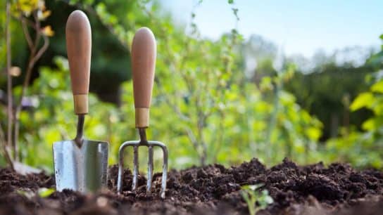 5 Ways to Live a More Sustainable Life in 2025