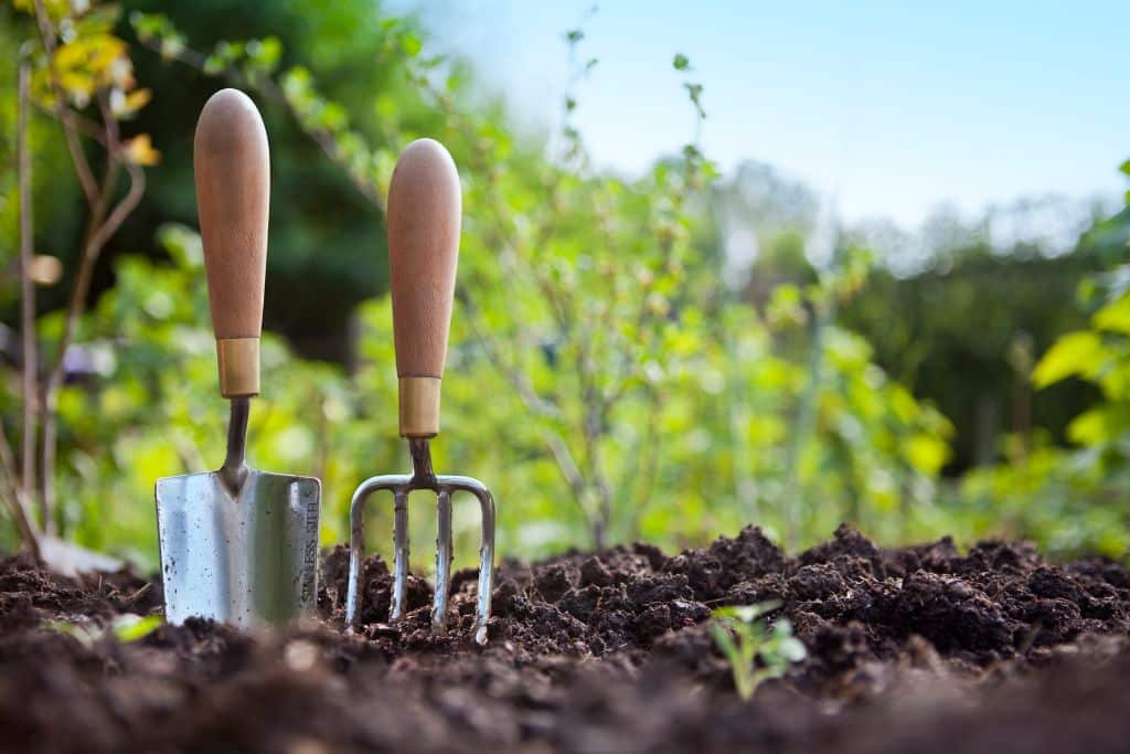 5 Ways to Live a More Sustainable Life in 2025