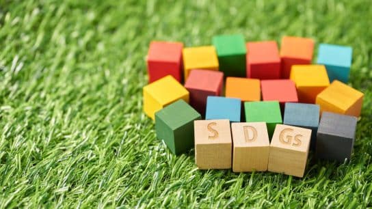 None of 17 UN SDGs on Track to Be Achieved By 2030, Report Finds