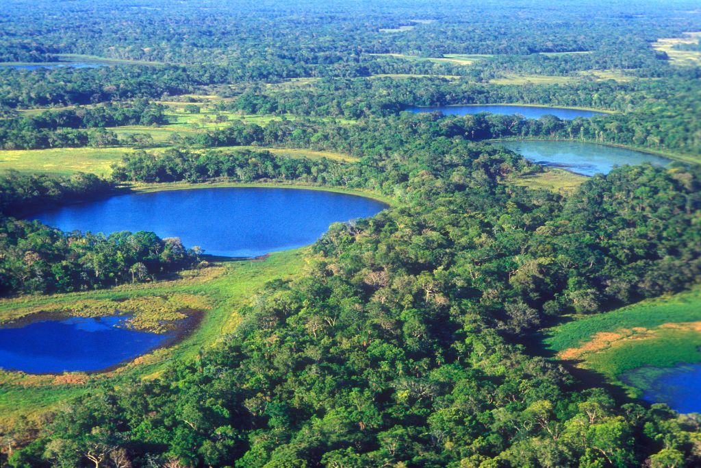 Exploring the Nexus Between Research and Policy for Wetland Restoration