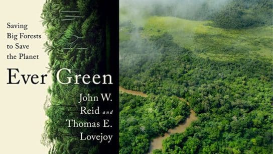 Review: ‘Ever Green: Saving Big Forests to Save the Planet’ By John W. Reid and Thomas E. Lovejoy
