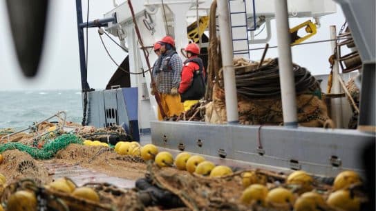 It Is Time For New Zealand to Cease Bottom Trawling