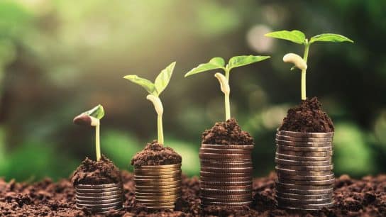 New Global Carbon Credit Standards Promise More Credibility. Will They Work?