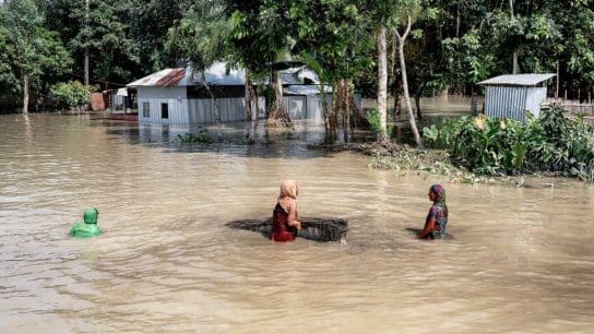Climate Adaptation Investments Yield 10-Fold Returns, Study Finds