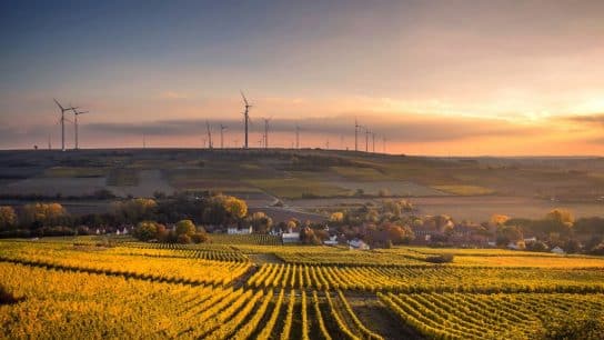 The Bigger Picture of Climate Change and AI