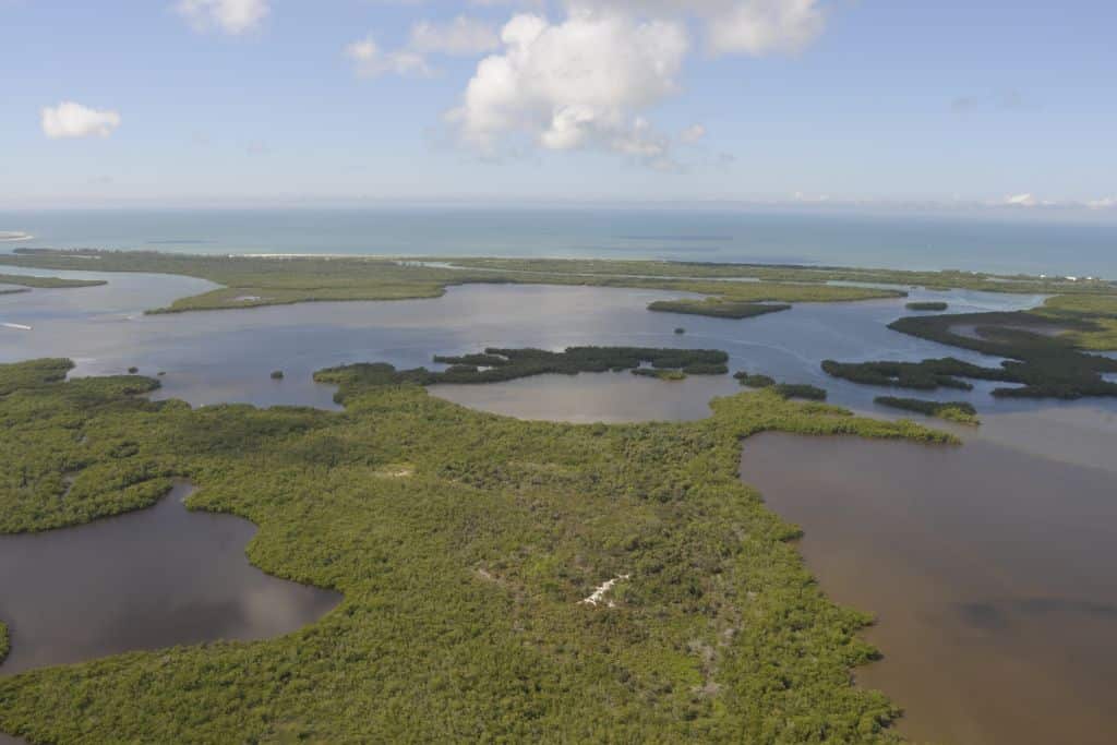 Aerial view of Rookery Bay Preserve on the southwestern coast of Florida.