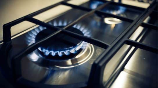 Gas Stoves Linked to 40,000 Premature Deaths in EU and UK Annually: Study
