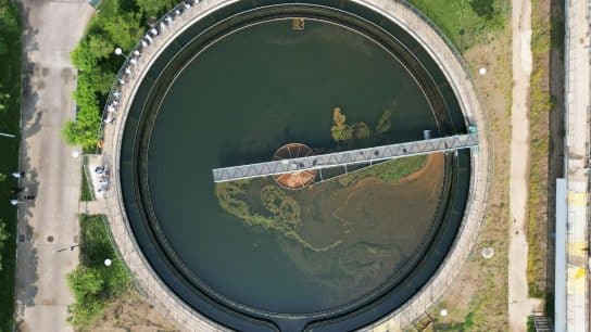 How Nature-Based Solutions Can Help Tackle Antimicrobial Resistance