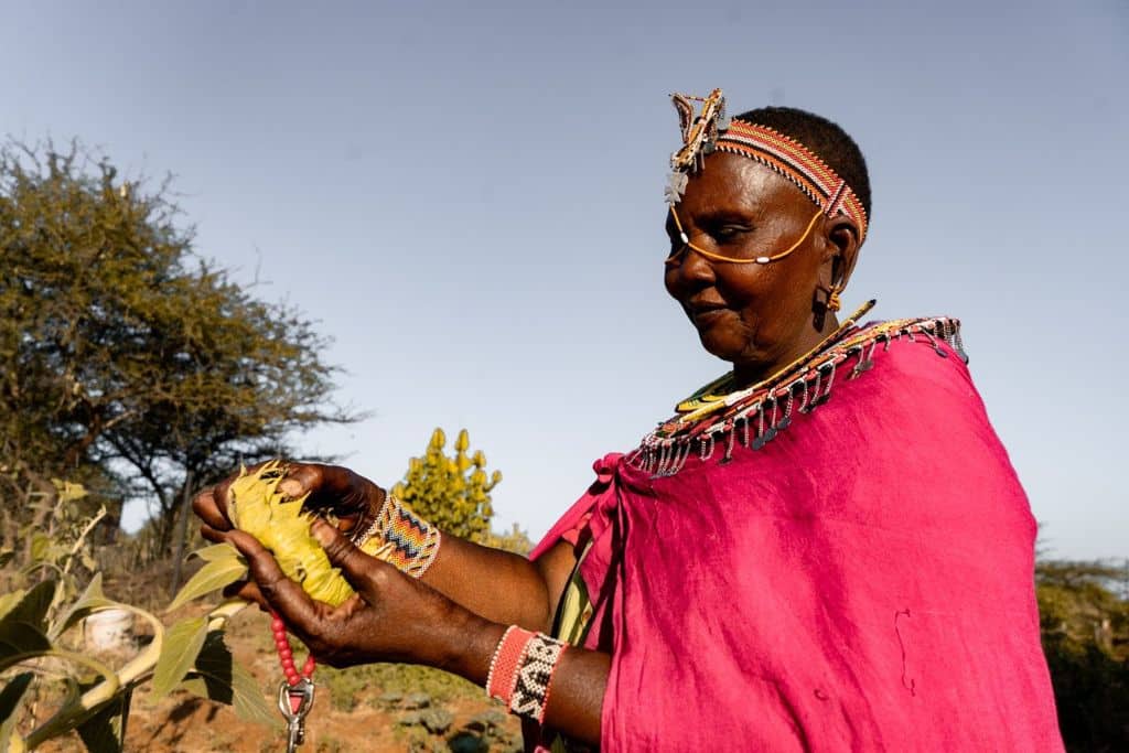A Chui Mama in Kenya.