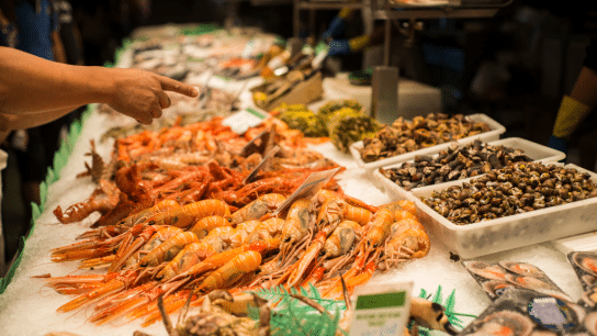 Scientists Find Microplastics in 99% of Seafood Samples