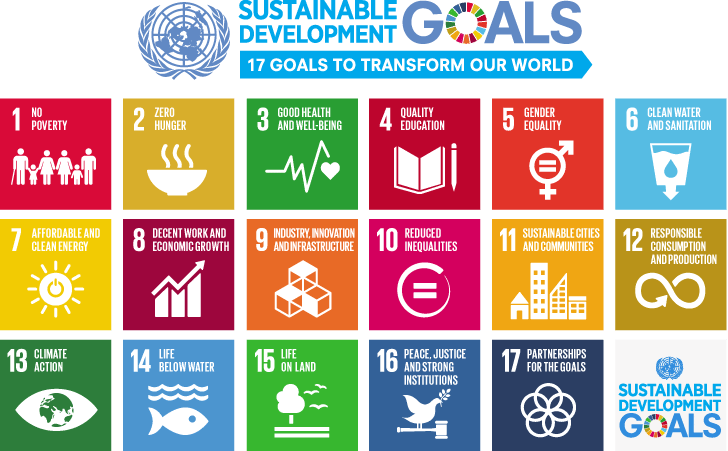 The 17 United Nations Sustainable Development Goals (UN SGDs)