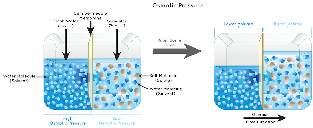 Graph showing the process of osmosis